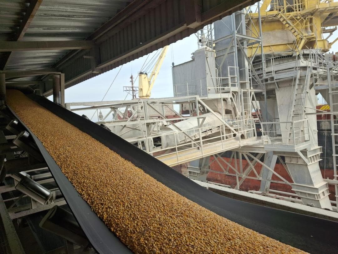 Corn