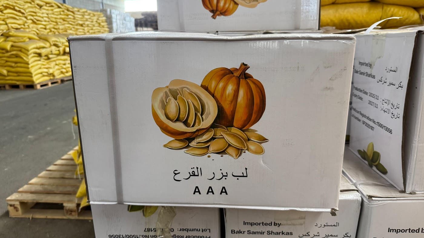 بذور ولب بذر القرع